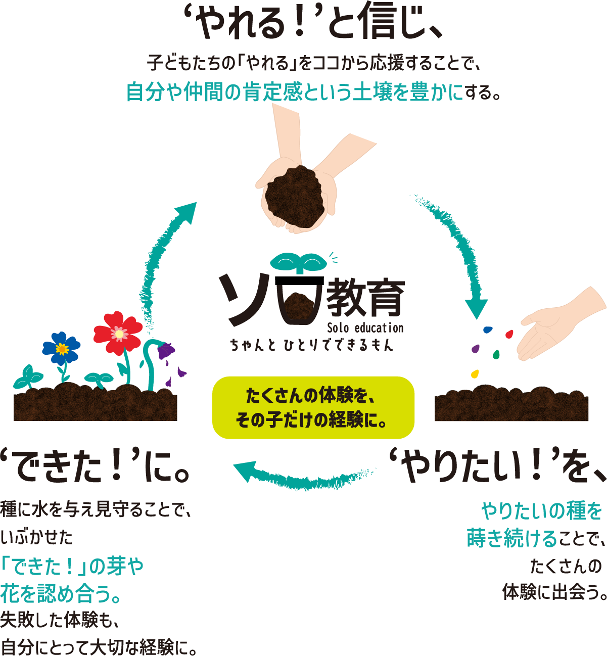 ソロ教育 循環図